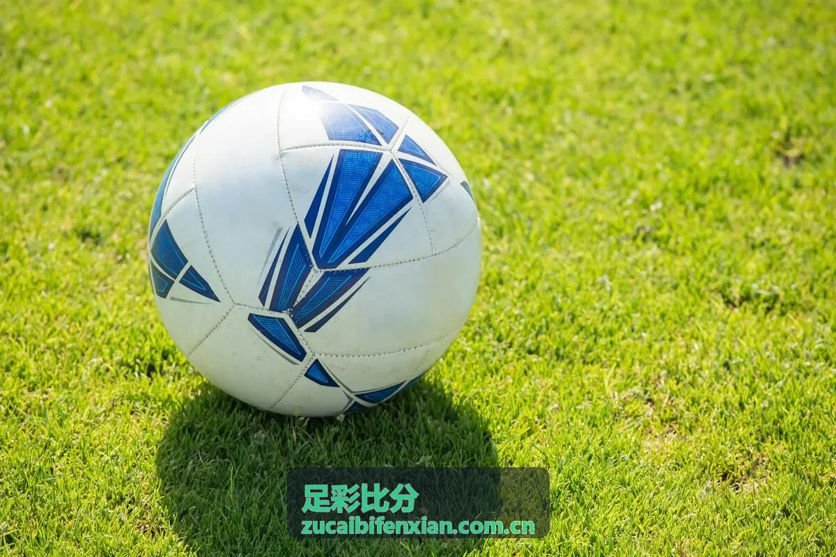 足彩比分专家推荐