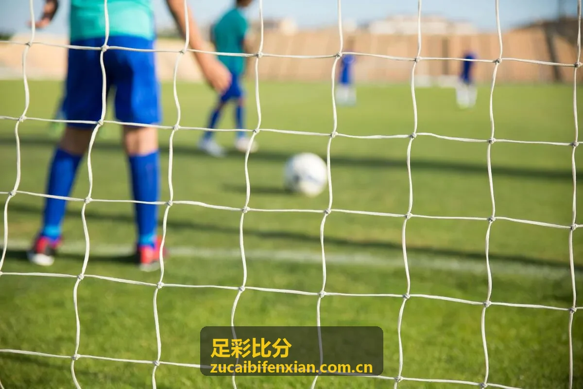 足彩比分英超赛季数据报告